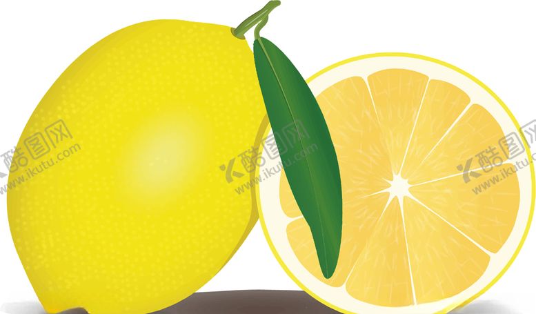 编号：32376809281848395719【酷图网】源文件下载-矢量柠檬插图