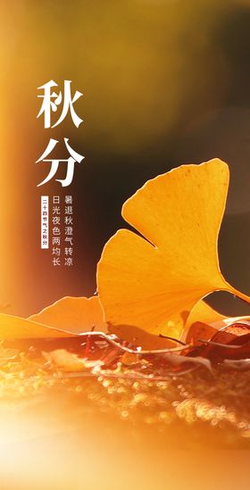 秋分节气活动宣传海报