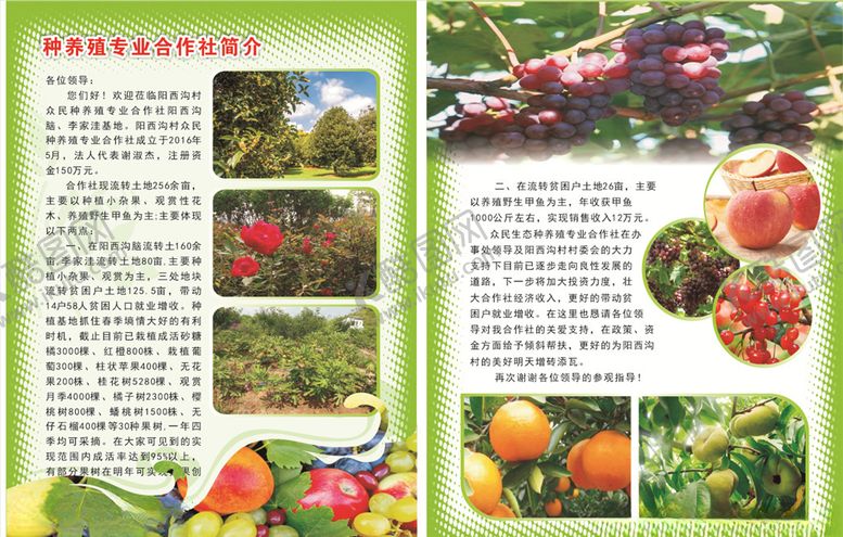 编号：94654710011001095027【酷图网】源文件下载-种植简介