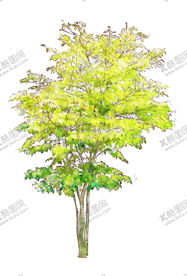 编号：92175302132140595970【酷图网】源文件下载-手绘 水彩风 环艺 水彩树 
