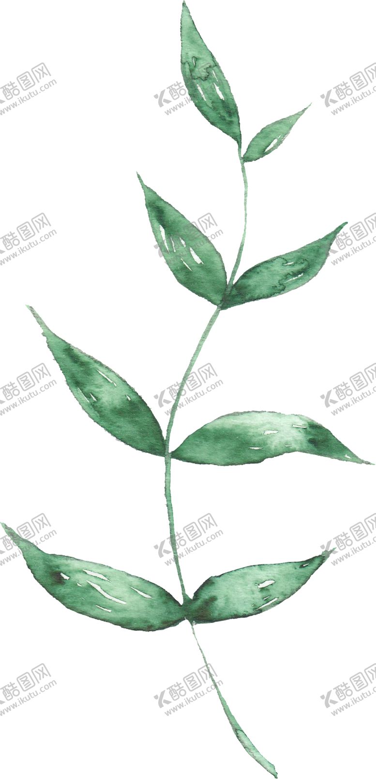 编号：24487506280230268450【酷图网】源文件下载-海报元素花草元素展架元素
