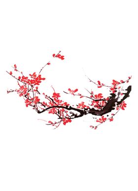 灯笼