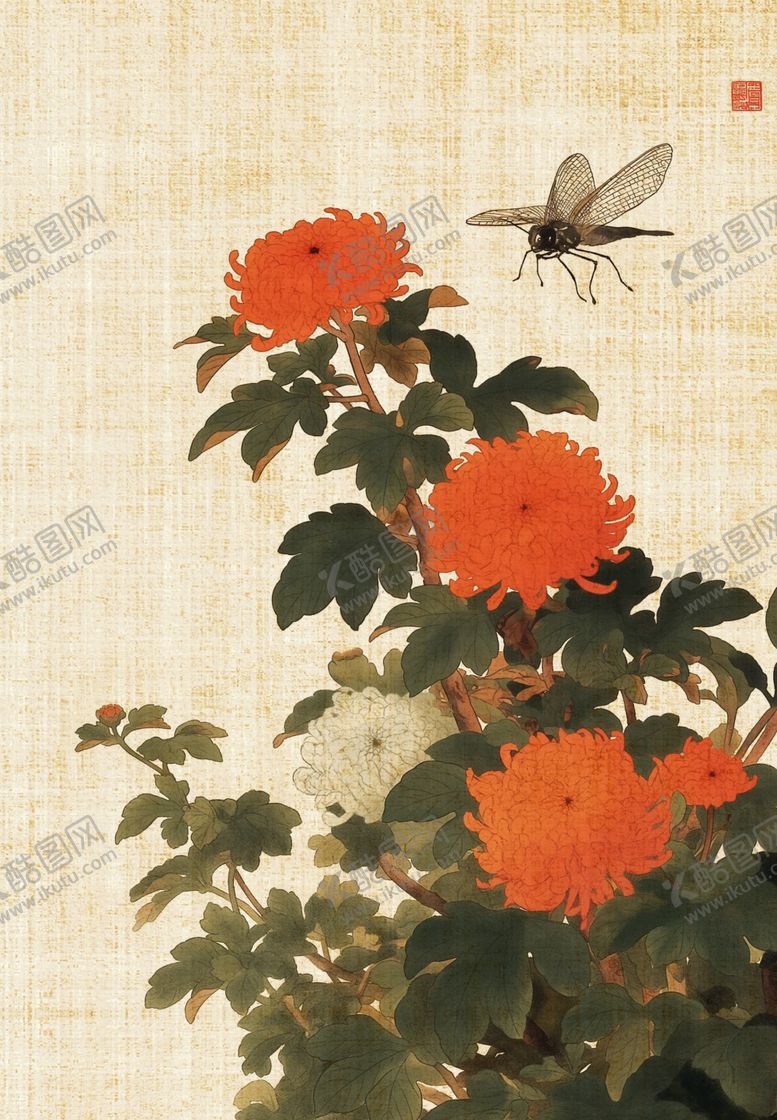 编号：48477201290222362085【酷图网】源文件下载-菊花素材