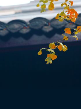 海报背景促销背景背景展板