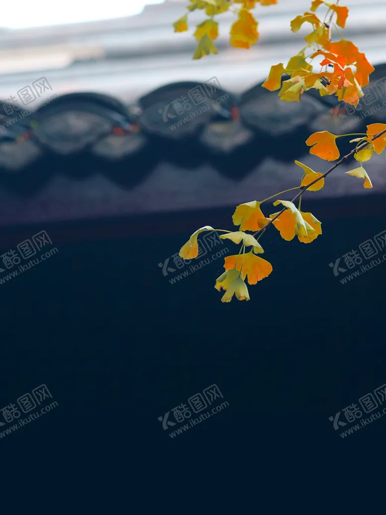 编号：33378705071001046099【酷图网】源文件下载-海报背景促销背景背景展板