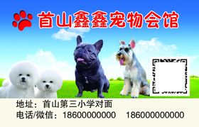 宠物店名片