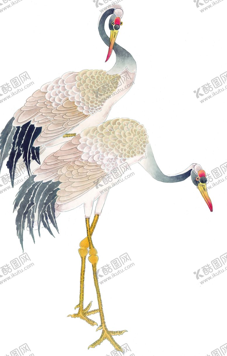 编号：54262006261435301224【酷图网】源文件下载-仙鹤