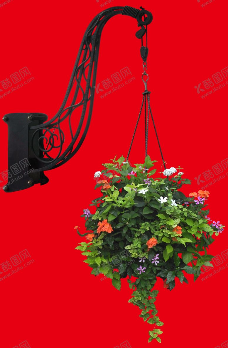 编号：16291310091753156366【酷图网】源文件下载-盆栽植物