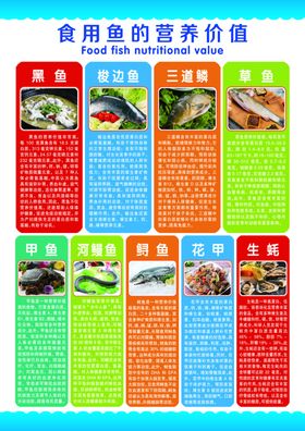 食用鱼的营养价值A4彩页