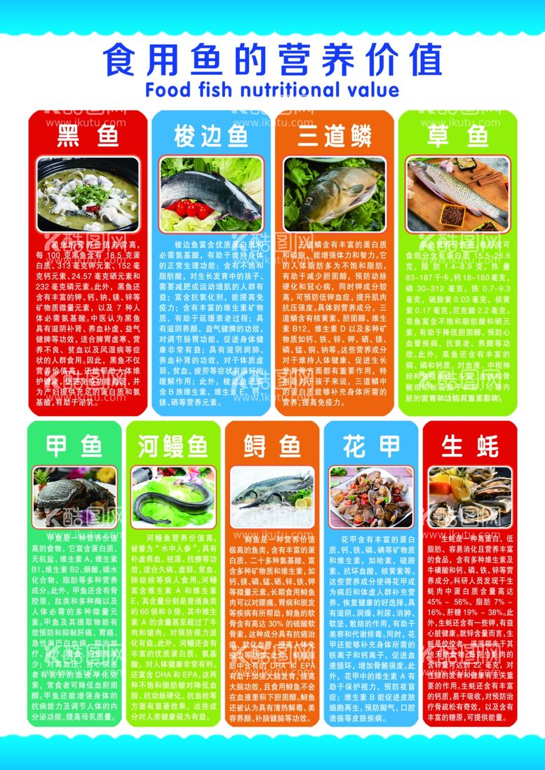 编号：43016911251528244480【酷图网】源文件下载-食用鱼的营养价值A4彩页