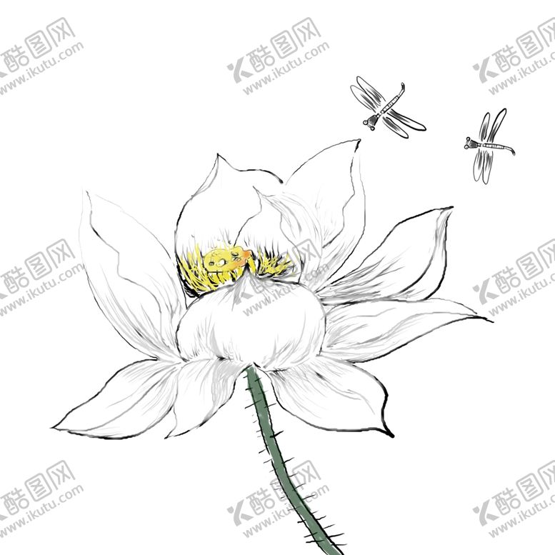 编号：18291401190232495752【酷图网】源文件下载-荷花素材