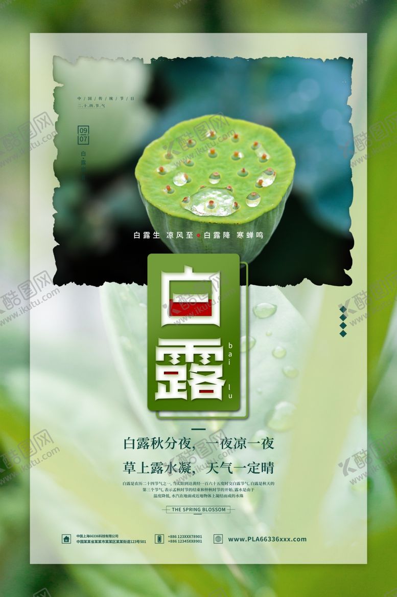 编号：48047604050320197679【酷图网】源文件下载-白露海报