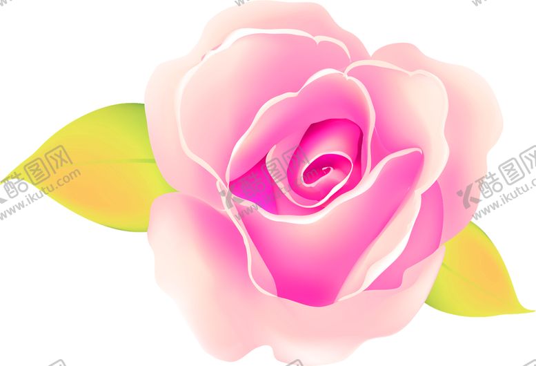 编号：12045409120210429136【酷图网】源文件下载-鲜花素材