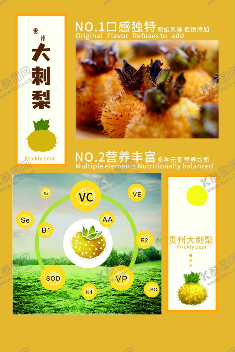 编号：30841312180941408030【酷图网】源文件下载-大刺梨介绍