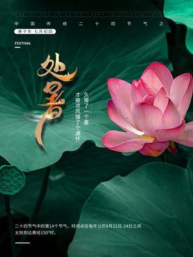 处暑荷叶中国传统节气古风