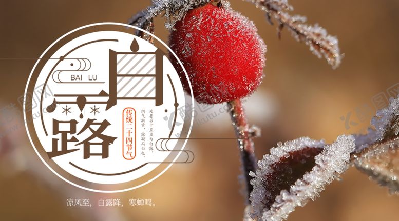 编号：36665905062153478227【酷图网】源文件下载-白露海报