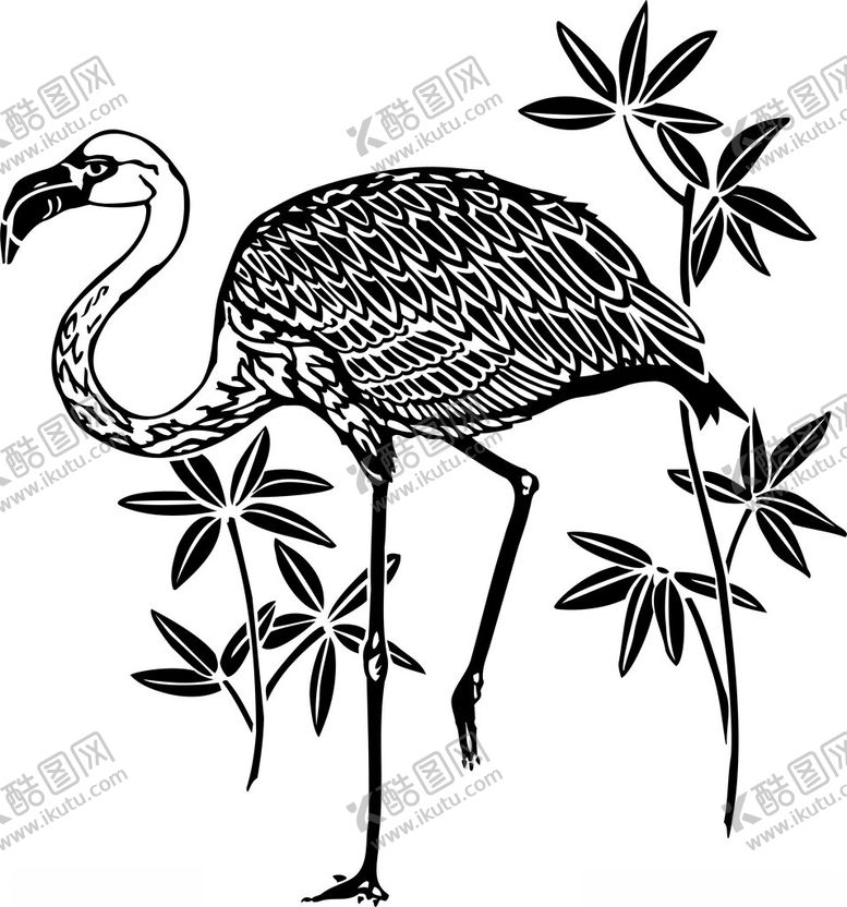 编号：67338702162313555747【酷图网】源文件下载-手绘鸟类插画