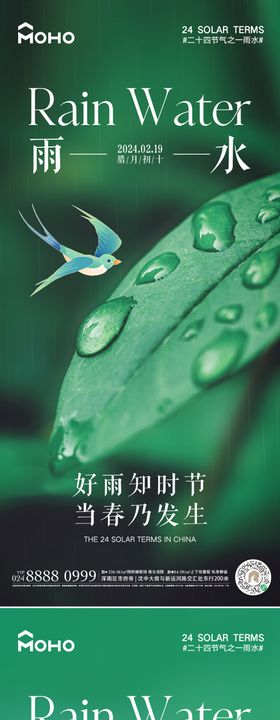 雨水节气移动端海报