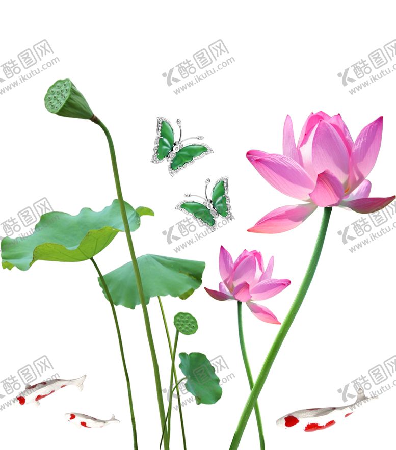 编号：98332009090807515509【酷图网】源文件下载-免扣中国风荷花锦鲤绿蝴蝶素材