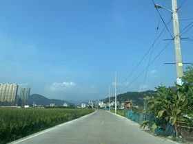 农村道路