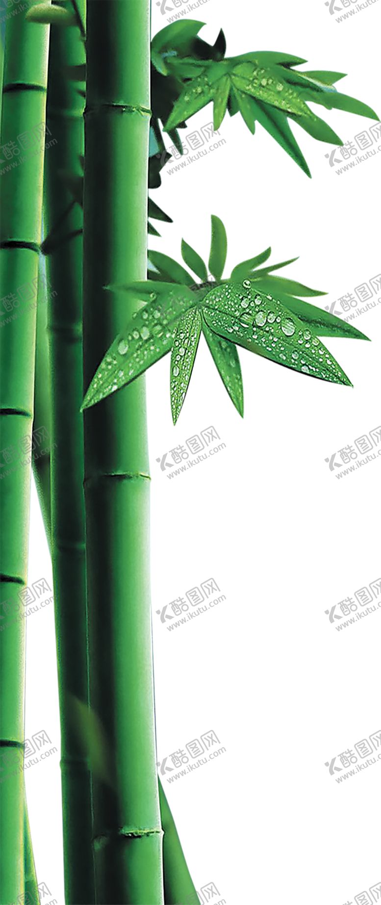 编号：77076109121613441429【酷图网】源文件下载-绿色装饰