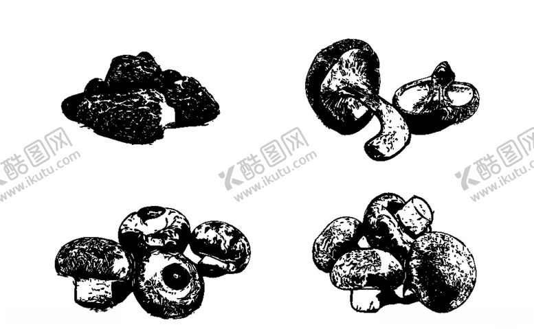 编号：82670810270525104214【酷图网】源文件下载-素描菌菇