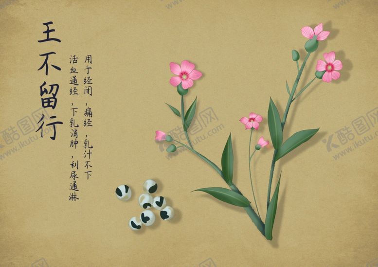 编号：35260402260312173234【酷图网】源文件下载-药材图谱