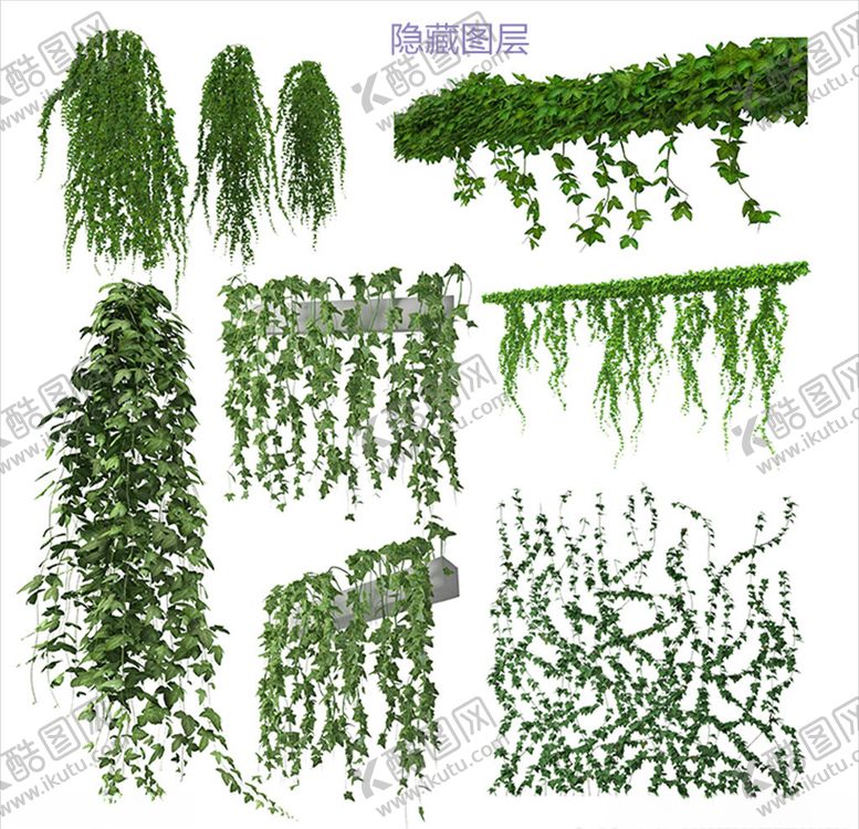 编号：93727907132309545098【酷图网】源文件下载-攀爬植物