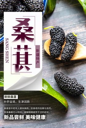 桑葚海报