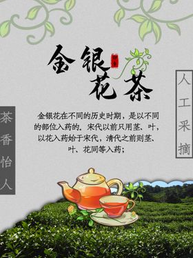 小清新简约野生金银花茶海报