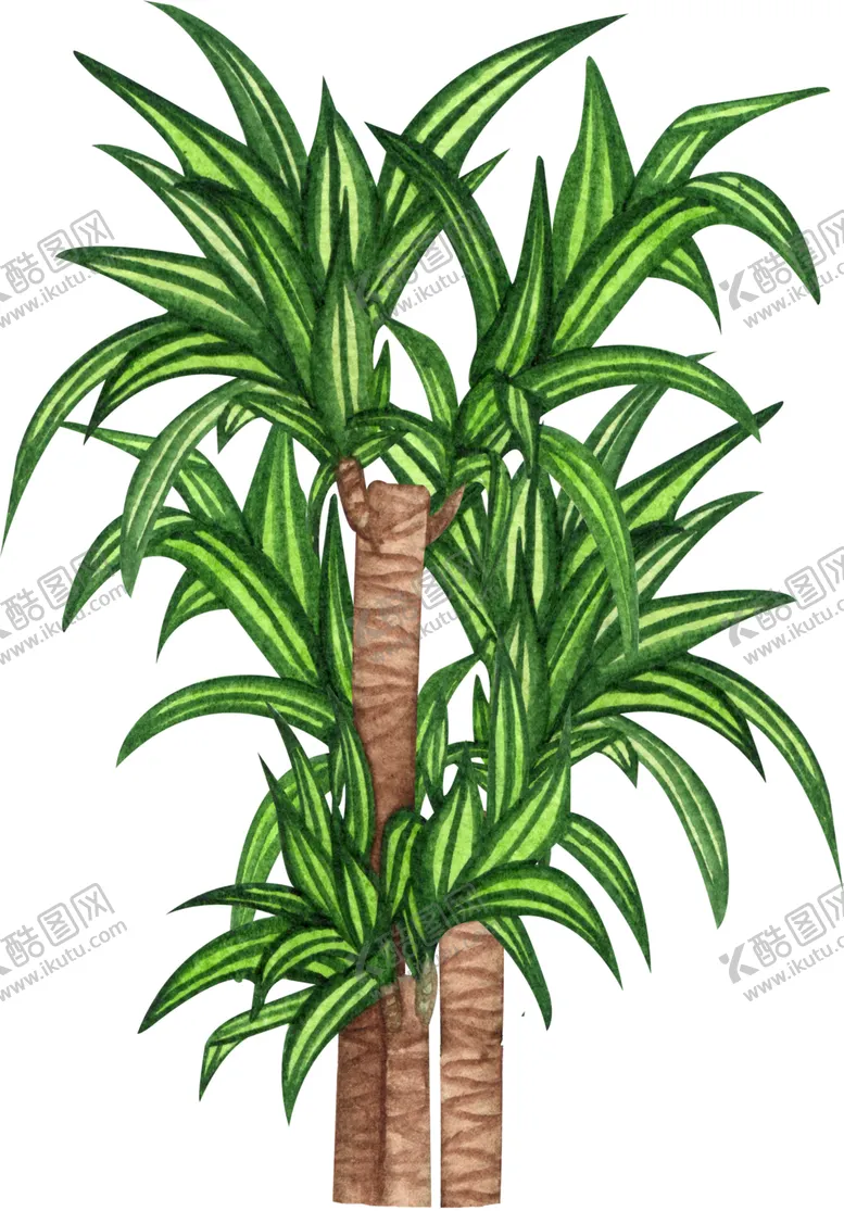 编号：99559006240347055433【酷图网】源文件下载-绿植水彩插画