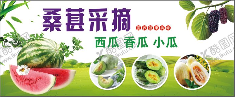 编号：38749009180157293065【酷图网】源文件下载-桑葚采摘