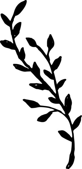 手绘植物枝干