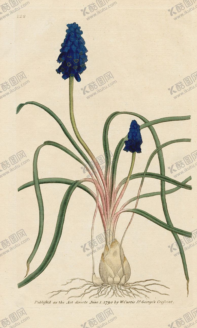 编号：93201805180452118480【酷图网】源文件下载-欧式复古色调花朵植物