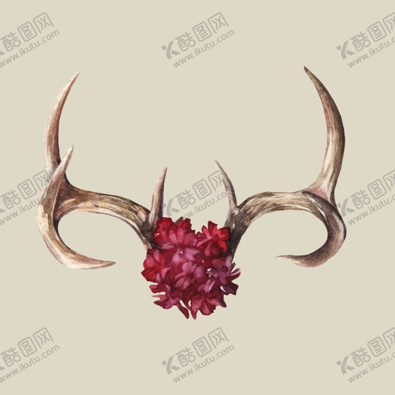 编号：26605510070843395268【酷图网】源文件下载-水彩植物