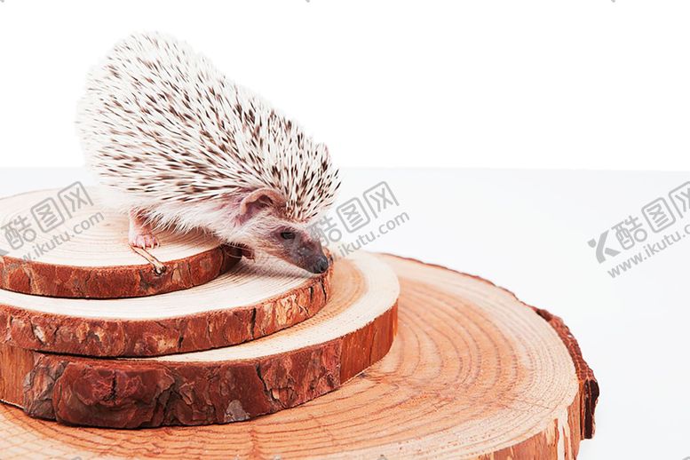 编号：55022709250320354363【酷图网】源文件下载-木纹素材