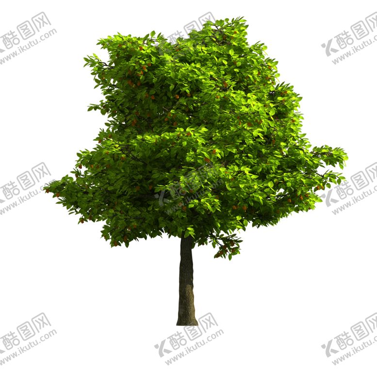 编号：25653707021119211848【酷图网】源文件下载-景观树