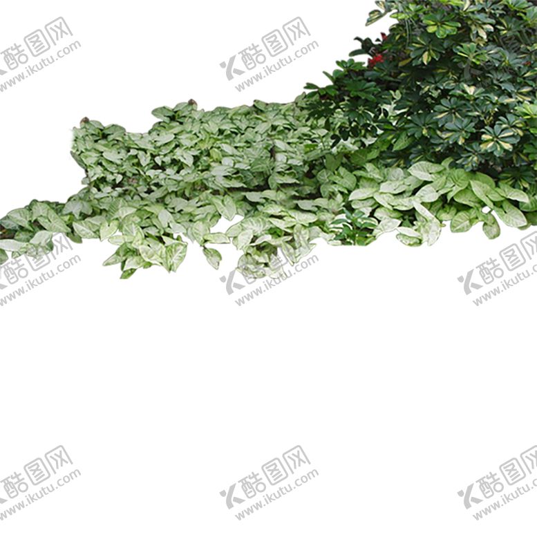 编号：90394009260900062915【酷图网】源文件下载-绿色植物