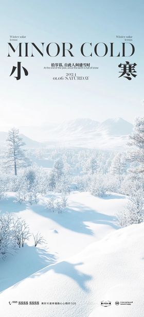 小寒节气海报二十四房地产雪景