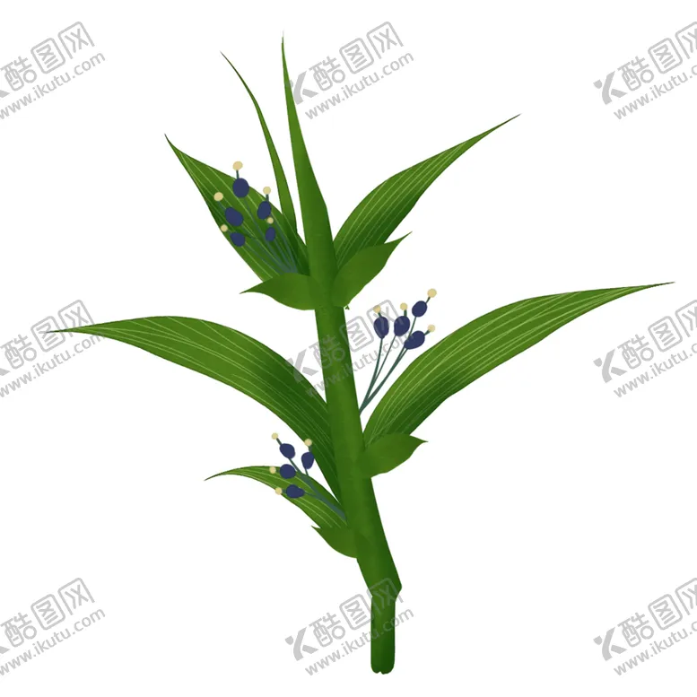 编号：46876504180445444372【酷图网】源文件下载-草本植物药材