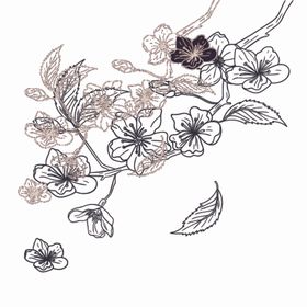 梅花
