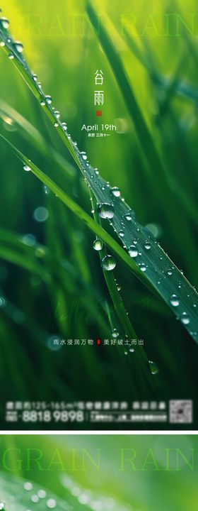 谷雨节气海报