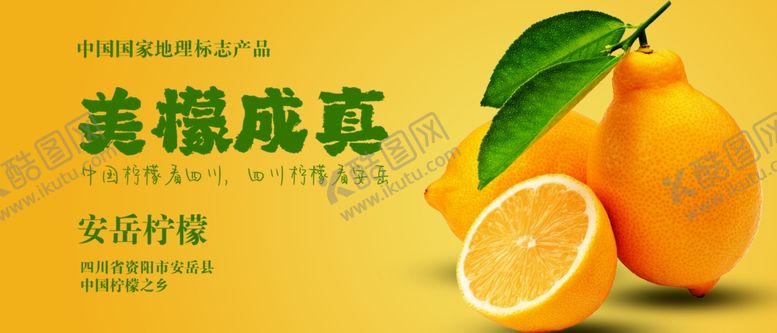 编号：98040501202103577477【酷图网】源文件下载-柠檬海报