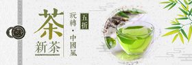 早春新茶