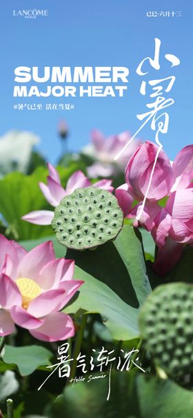 小暑节气荷花诗意海报展板