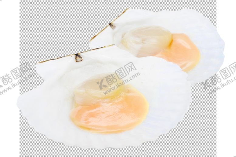 编号：78885710140441095017【酷图网】源文件下载-扇贝