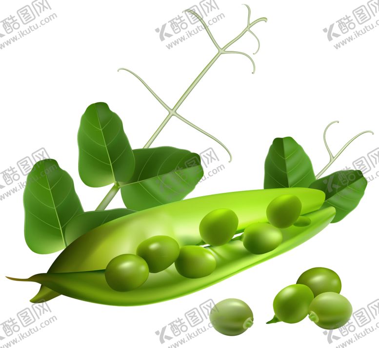 编号：28104509180421079169【酷图网】源文件下载-豌豆