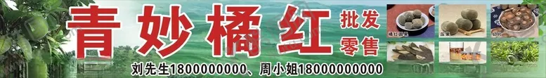 编号：76068702261819231013【酷图网】源文件下载-化橘红招牌