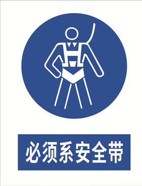 必须系安全带