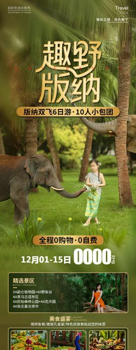 趣野版纳云南海报